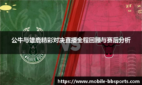 BB贝博体育平台